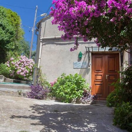 Maison Simonpietri Cagnano Exteriér fotografie