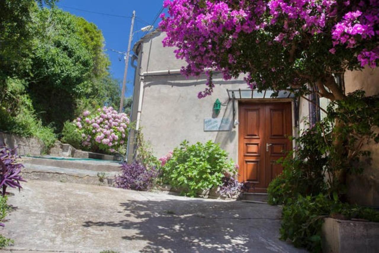 Maison Simonpietri Cagnano Exteriér fotografie