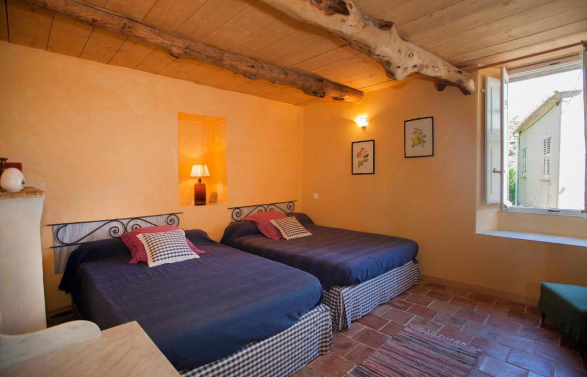 Maison Simonpietri Cagnano Exteriér fotografie
